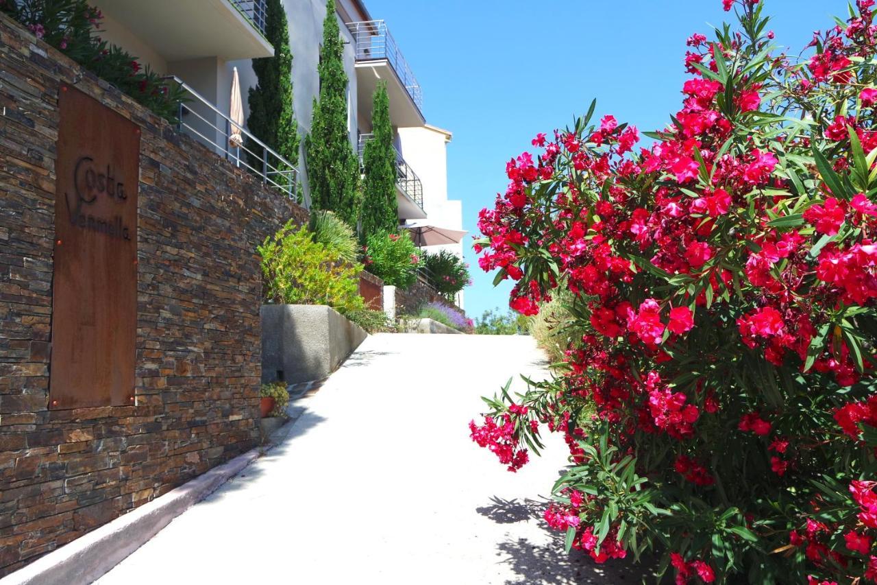 Residence Costa Vermella, Vue Mer Et Montagne Au Calme Cerbere Exterior photo